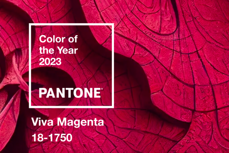 Viva Magenta, il colore protagonista dei matrimoni 2023: suggerimenti per creare la palette perfetta