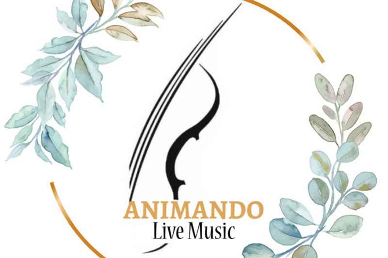 Animando Live Music